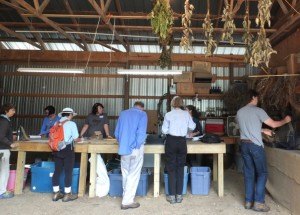 Native Seed Collection & Post-Harvest Handling