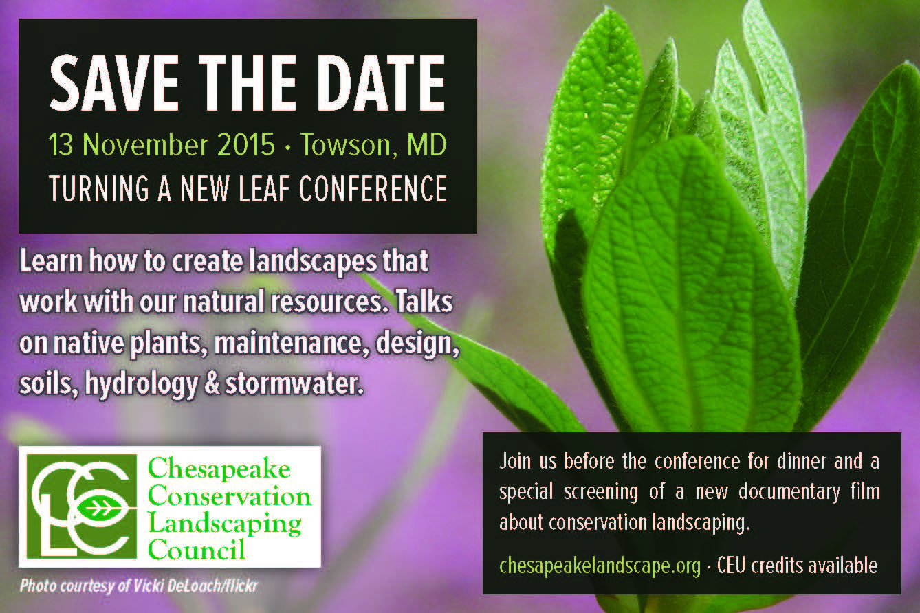 Save The Date 2015 JPEG
