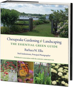fb1d2cc_Chesapeake Gardening